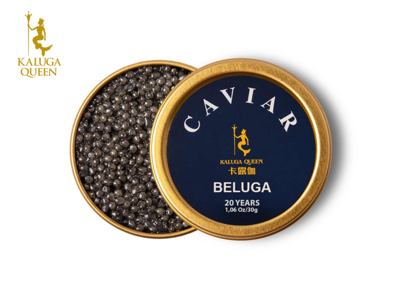 Beluuga tuuramari «Kaluga Queen» 30g
